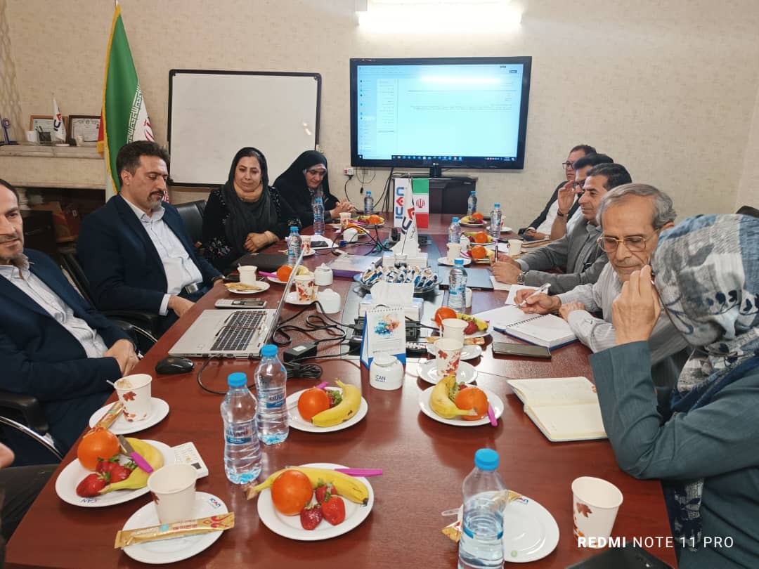 کمیسیون نرم افزار