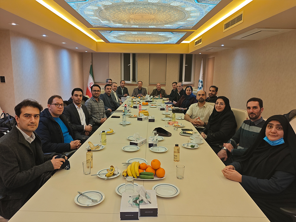 کمیسیون نرم افزار