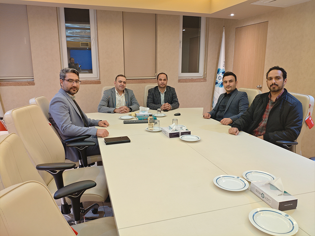 کمیسیون نرم افزار