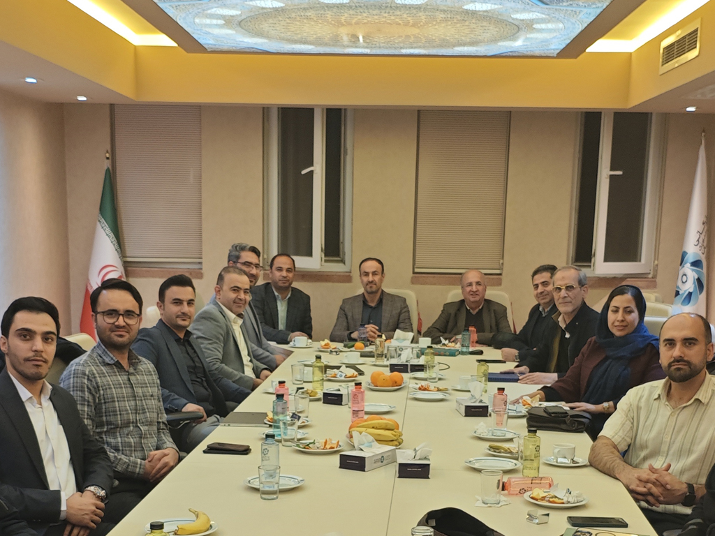 کمیسیون نرم افزار